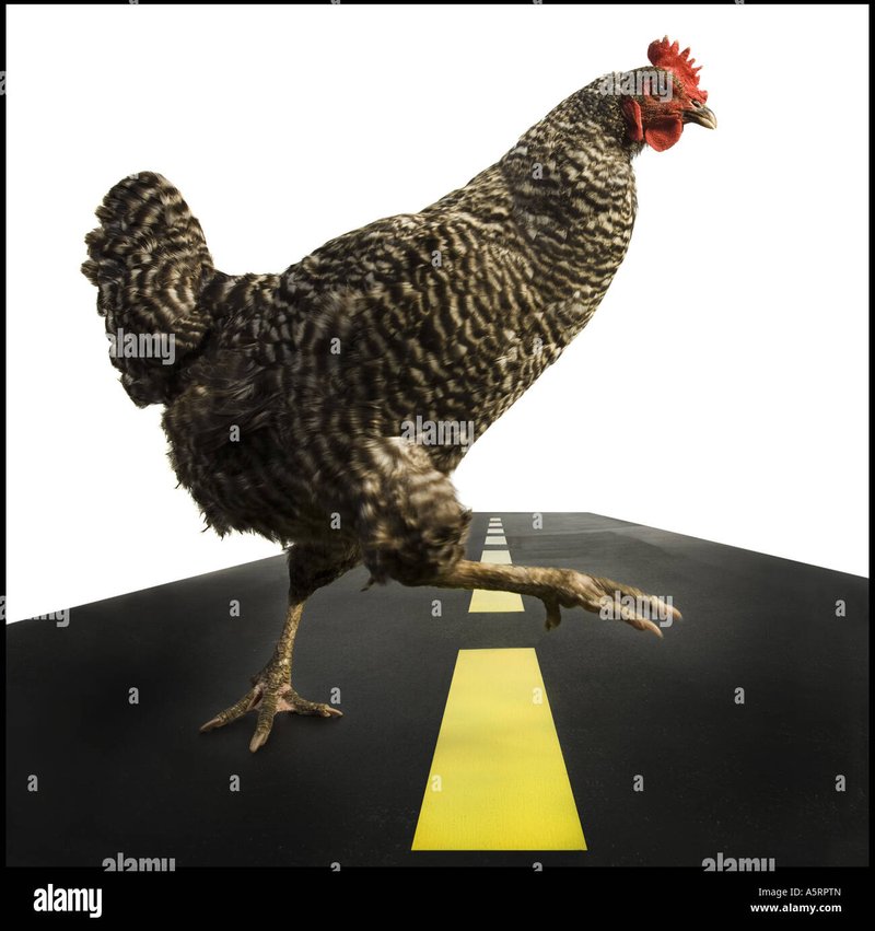 Image: Juego de Azar en la Carretera de Pollo: Conoce a Chicken Road España